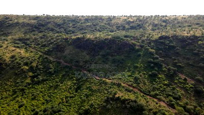 33acre Ngororoi at Per Acre - Image 3