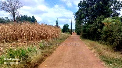 Residential One Acre for Sale - Image 2
