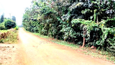 Residential One Acre for Sale - Image 3