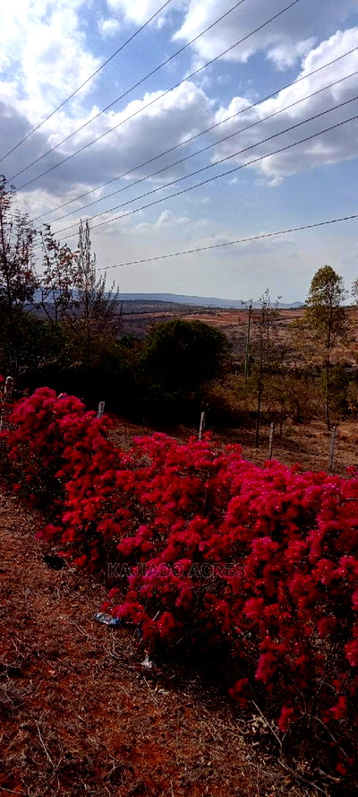 Prime 2.5 Acres Lukenya at 6m Per Acre - Image 2