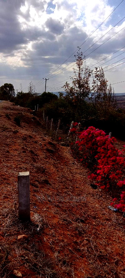 Prime 2.5 Acres Lukenya at 6m Per Acre - Image 4