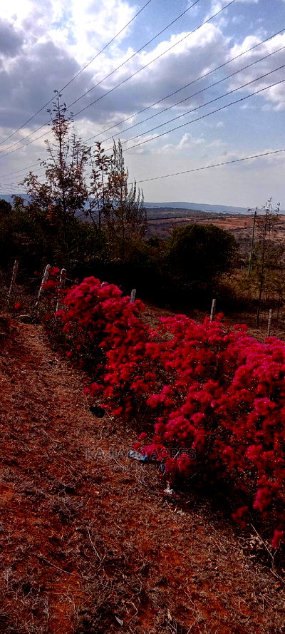 Prime 2.5 Acres Lukenya at 6m Per Acre - Image 5