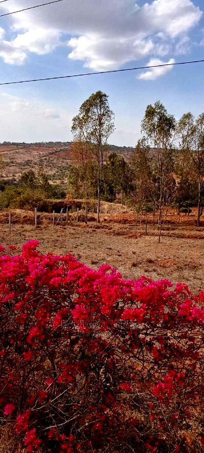 Prime 2.5 Acres Lukenya at 6m Per Acre - Image 3