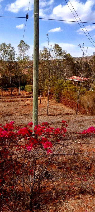 Prime 2.5 Acres Lukenya at 6m Per Acre - Image 1