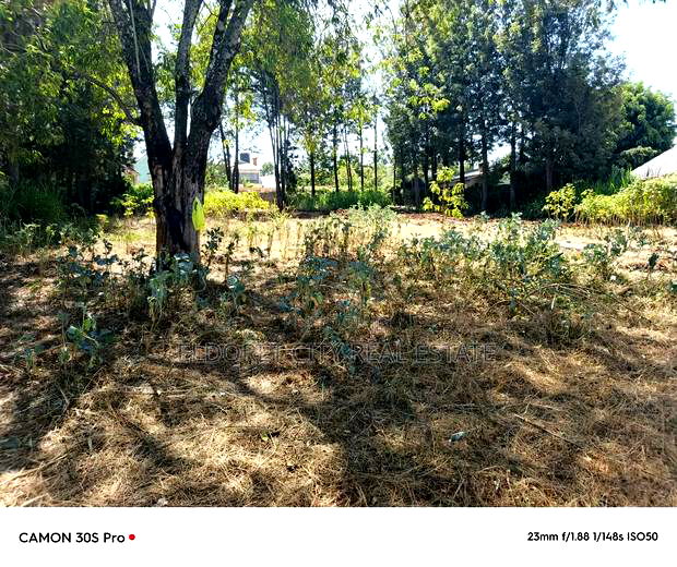 1/2 Acre Lower Elgonview With Title.