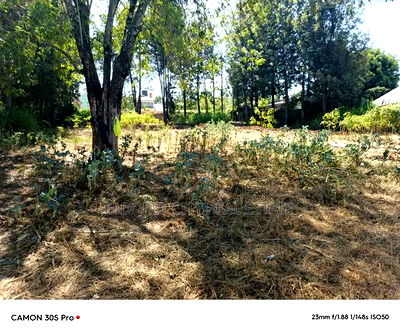 1/2 Acre Lower Elgonview With Title. - Image 2