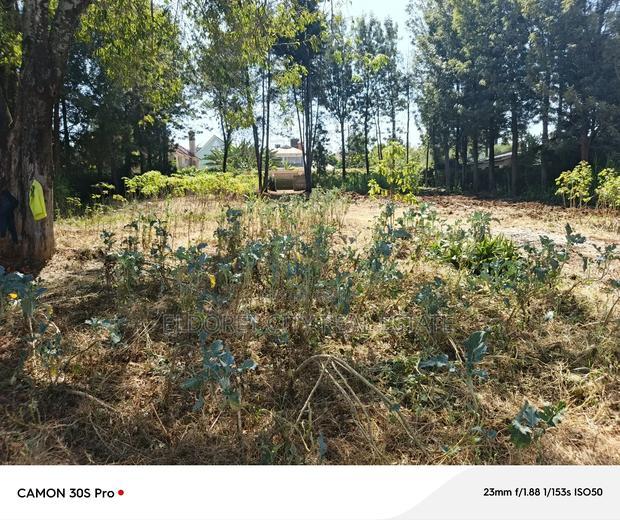 1/2 Acre Lower Elgonview With Title.