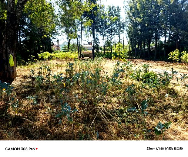 1/2 Acre Lower Elgonview With Title.