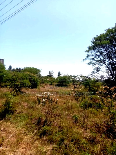 Land for Lease at Makuyu - Image 7