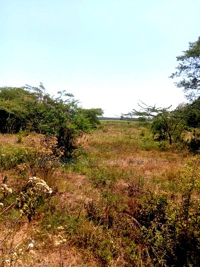 Land for Lease at Makuyu - Image 10