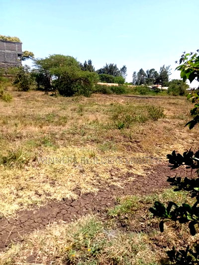 Land for Lease at Makuyu - Image 5