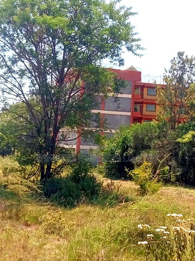 Land for Lease at Makuyu - Image 9
