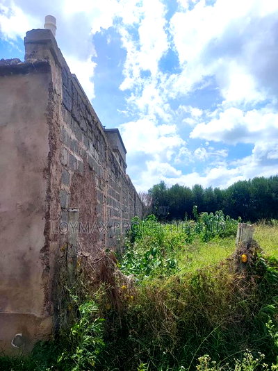 50/100 Plot on Sale in Muigai Estate Kitengela - Image 2