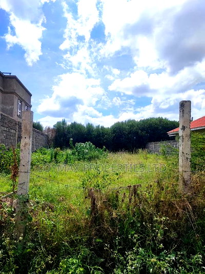 50/100 Plot on Sale in Muigai Estate Kitengela - Image 3