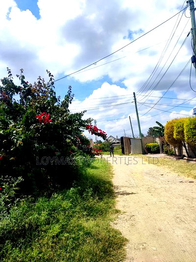50/100 Plot on Sale in Muigai Estate Kitengela - Image 9