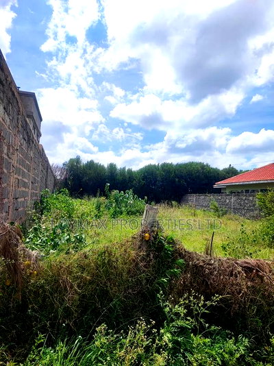 50/100 Plot on Sale in Muigai Estate Kitengela - Image 8