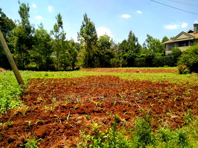 Residential Quarter Acre Red Soil Plot in Kerarapon, Ngong - Image 2