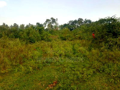 Bondo Jooust Gate B Near the Marquies Hotel - Image 3