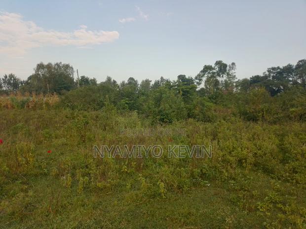 Bondo Jooust Gate B Near the Marquies Hotel