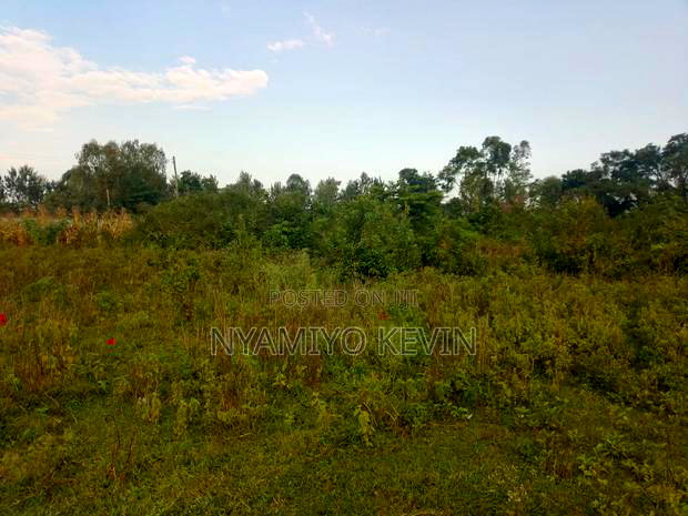 Bondo Jooust Gate B Near the Marquies Hotel