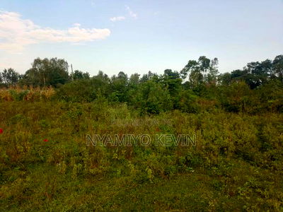 Bondo Jooust Gate B Near the Marquies Hotel - Image 1