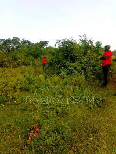 Bondo Jooust Gate B Near the Marquies Hotel - Image 5