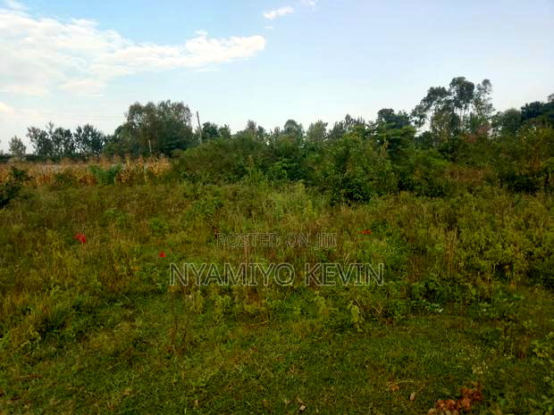 Bondo Jooust Gate B Near the Marquies Hotel