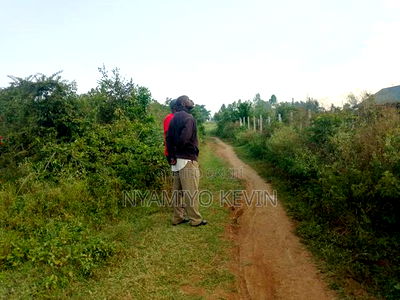Bondo Jooust Gate B Near the Marquies Hotel - Image 2