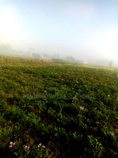 Plote on Sale at Mtonyora Kinangop - Image 1