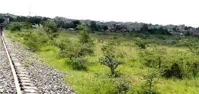 Plot for Sale - Image 2