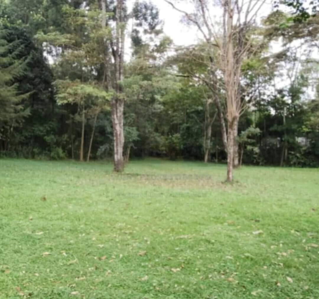 Half Acre in Karen at KSh 45M
