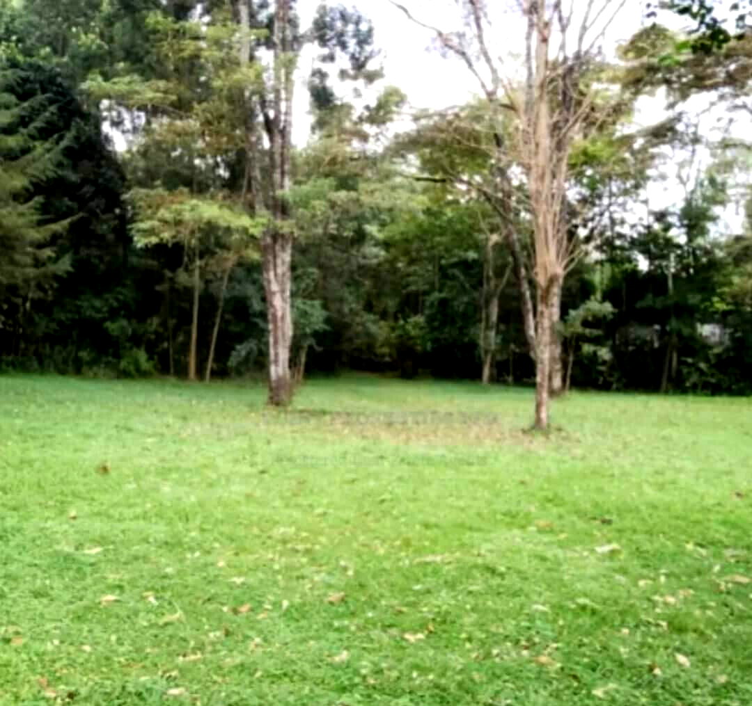 Half Acre in Karen at KSh 45M