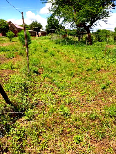 One Acre for Sale at Ndalani - Image 5