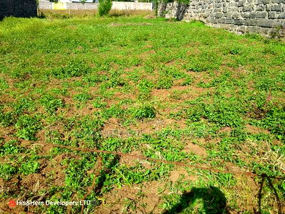 50*100 Plot in Lanet Kamfarm Only 500m From Tarmac at 2.5M - Image 4