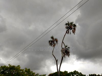 50x100 Mid-Lot Plot - Kombani, Bowa School Area - Image 5