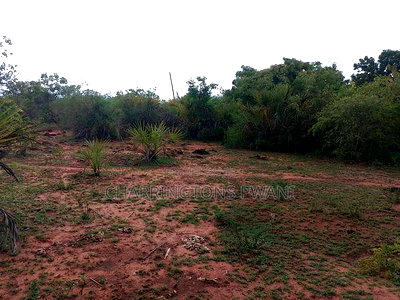 50x100 Mid-Lot Plot - Kombani, Bowa School Area - Image 1