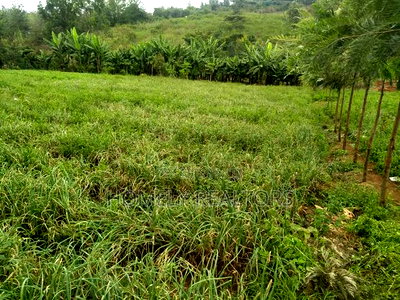 Half Acre Piece of Land in Ngong, Matasia Along Merisho Road - Image 2