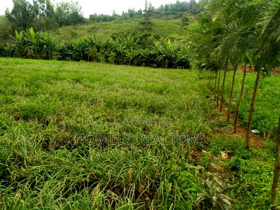 Half Acre Piece of Land in Ngong, Matasia Along Merisho Road - Image 3