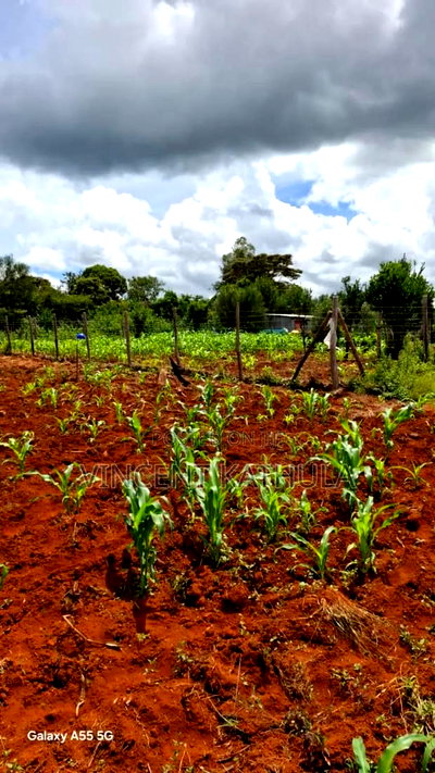 Karen View Plots - Image 2