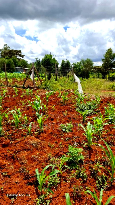 Karen View Plots - Image 1