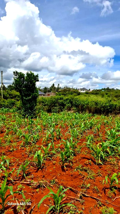 Karen View Plots - Image 3