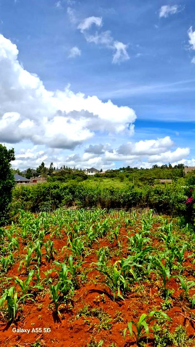 Karen View Plots - Image 4