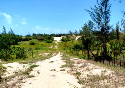 1 Acre Commercial Plot with Garden