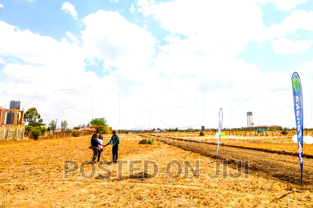 Malaa Plots for Sale