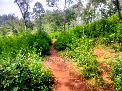 6 Acre's Karen - Image 4