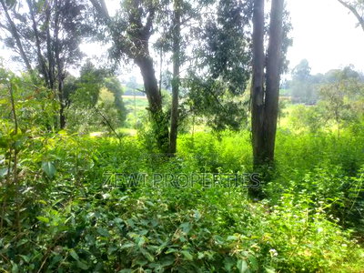 6 Acre's Karen - Image 3