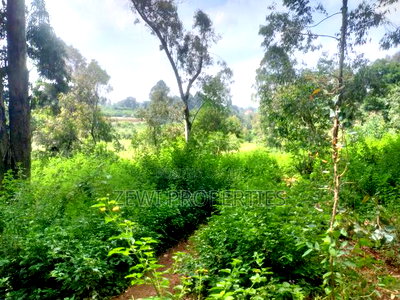 6 Acre's Karen - Image 2