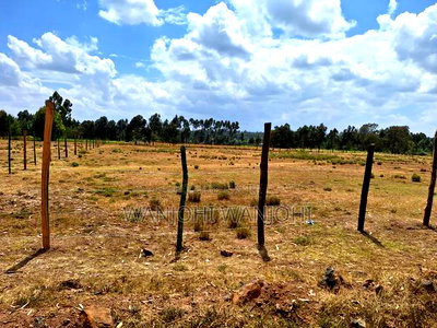 Buy Build Prime Plots - Image 3