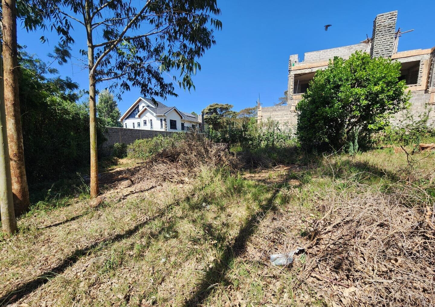 1/8 Acre Kerarapon Plot for KSh 9.5M