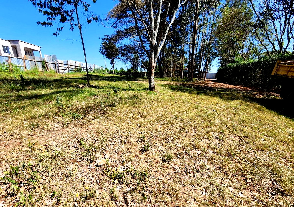 1/8 Acre Kerarapon Plot for KSh 9.5M